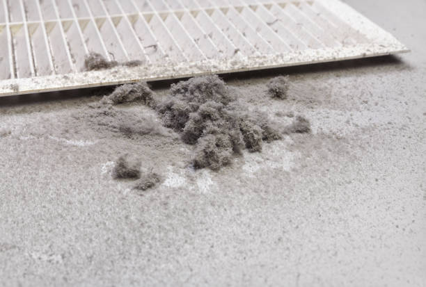 Best Professional Duct Cleaning Services  in San Rafael, CA