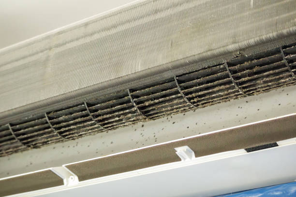 Best HVAC Air Duct Cleaning  in San Rafael, CA